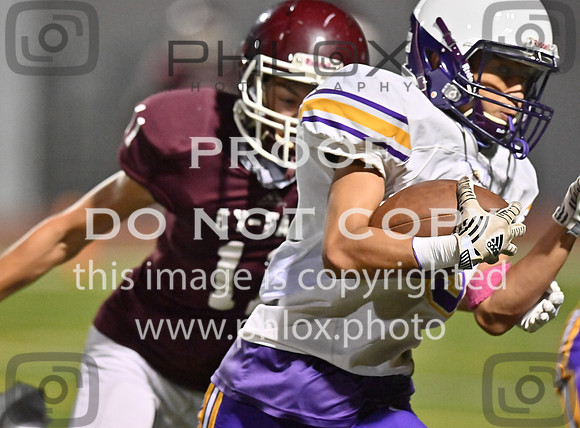 DLS_8704