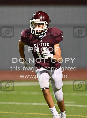 DLS_8698