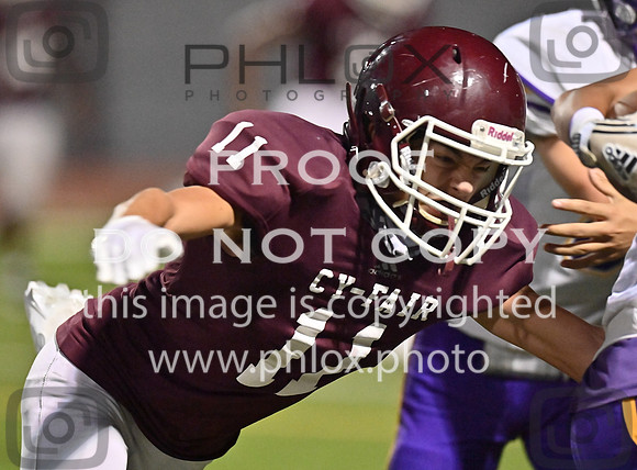 DLS_8705