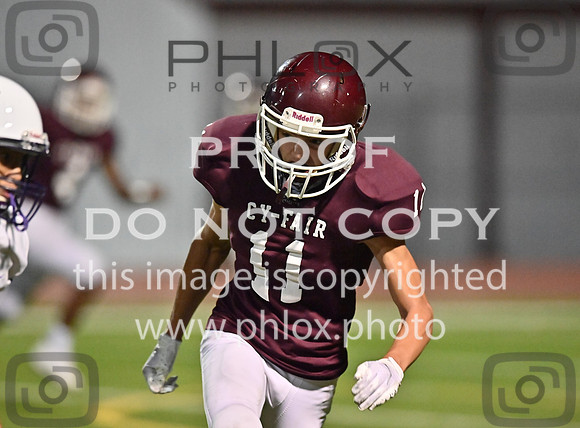 DLS_8701