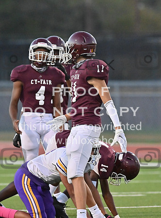 DLS_7985