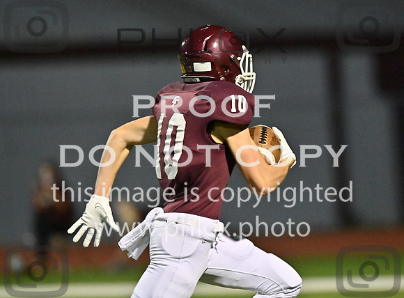 DLS_8330