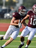 DLS_0861