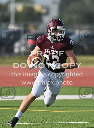 DLS_0860