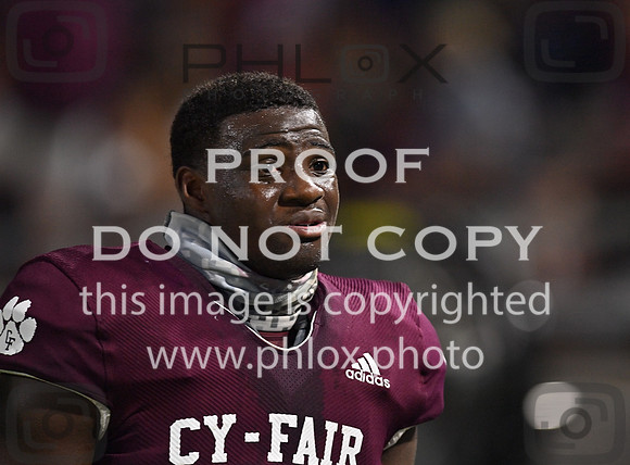DLS_4486
