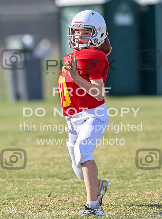 TD6_9634