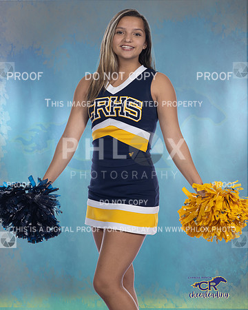 8216 Joslyn