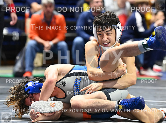 DLS_0376