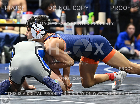 DLS_0282