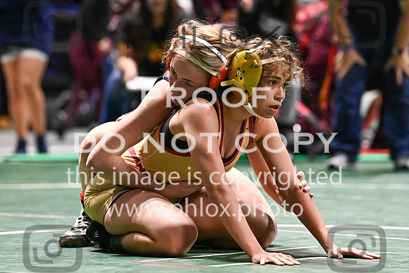DLS_5573