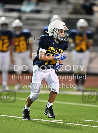DLS_1319