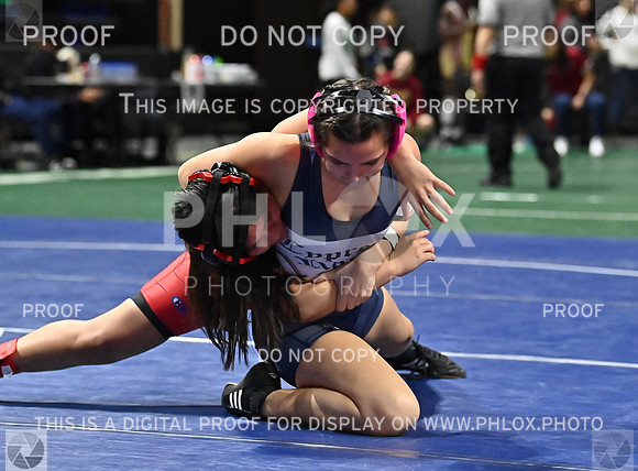 DLS_7752