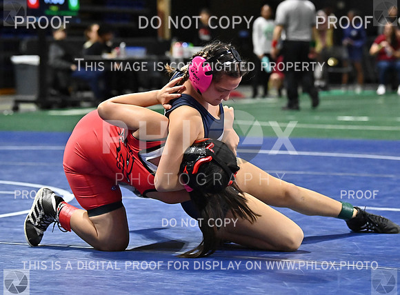 DLS_7756