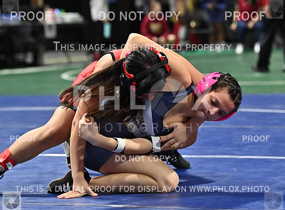DLS_7746