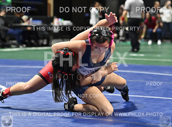 DLS_7754