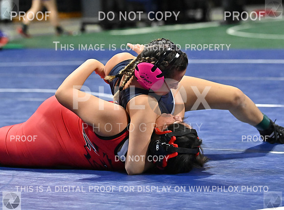 DLS_7758