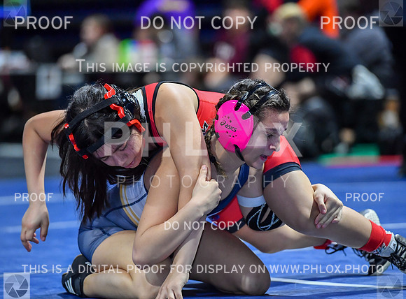 FDS_6489