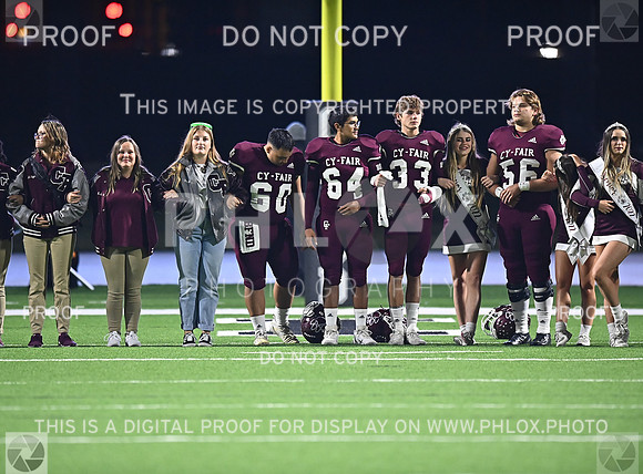 DLS_8188