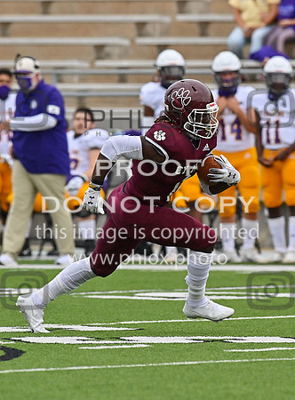 DLS_0066