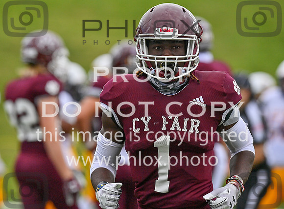DLS_0084