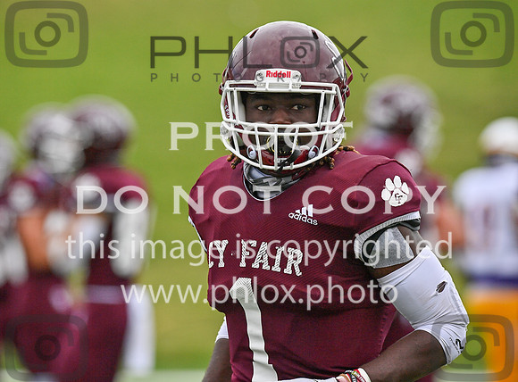 DLS_0086