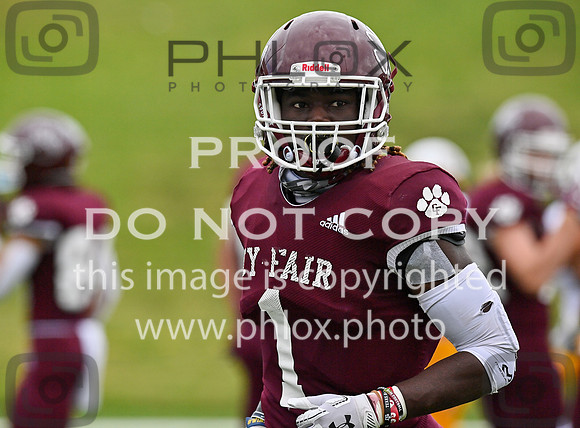 DLS_0085