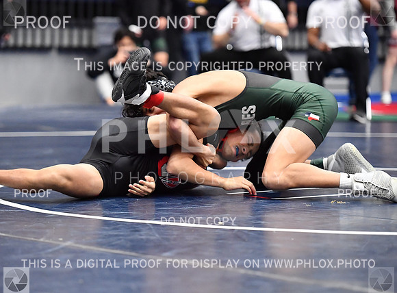 FDS_8629