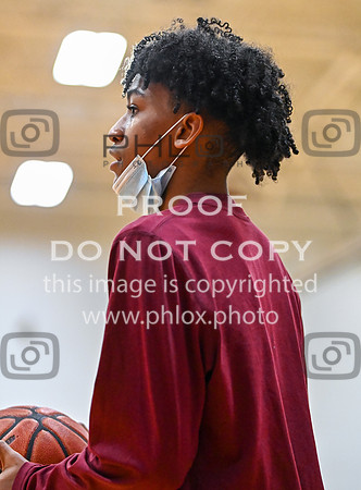 DLS_8685