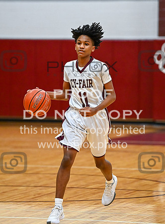 DLS_8838