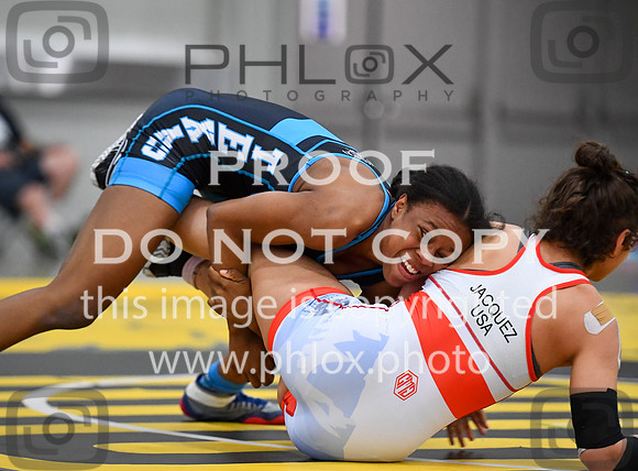 FDS_5287