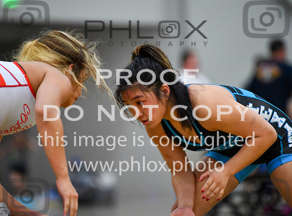 FDS_5267