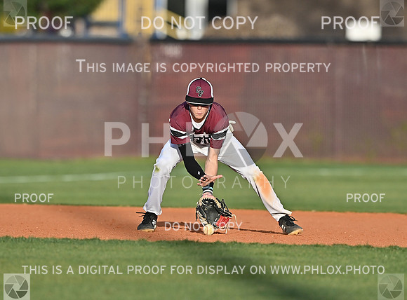 DLS_4245