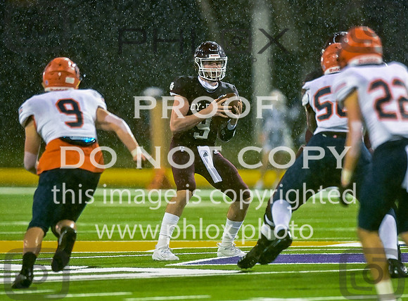 DLS_8404