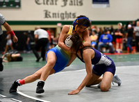 DLS_2208