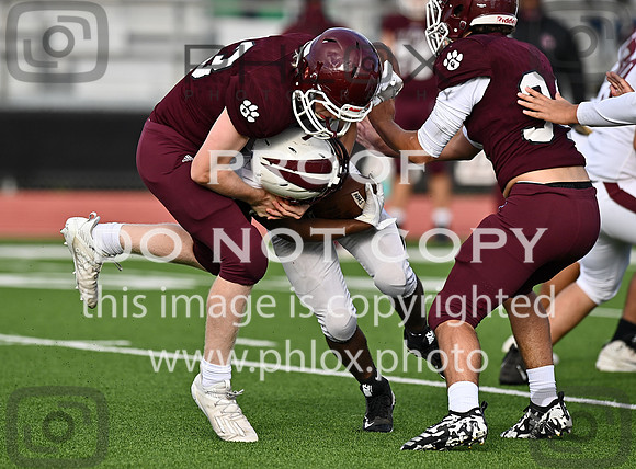 DLS_1679