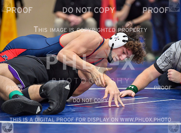 FDS_8169