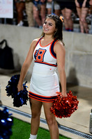 TOM_3354