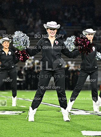 DLS_7760