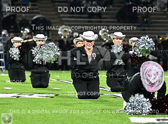 DLS_7822
