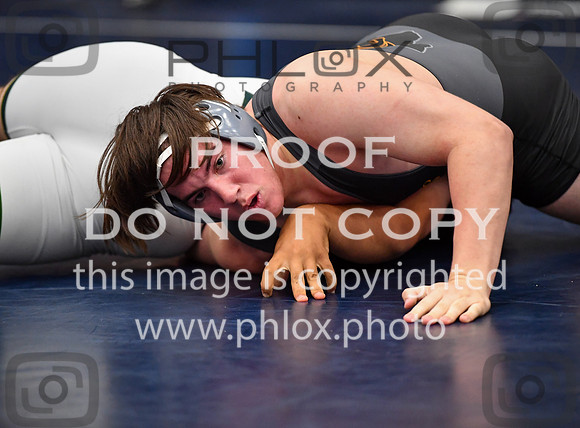 FDS_6608