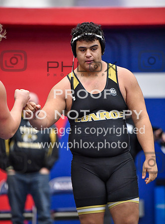 FDS_6596