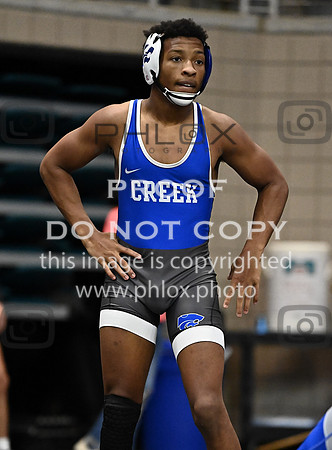 DLS_0237
