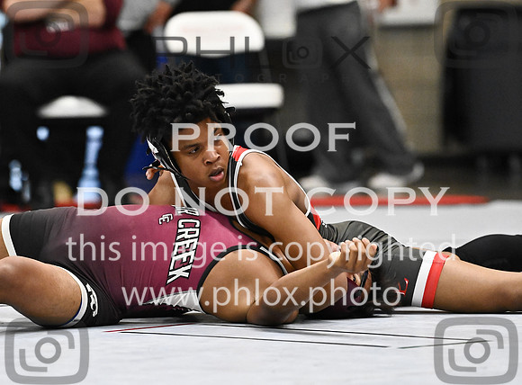 DLS_0199