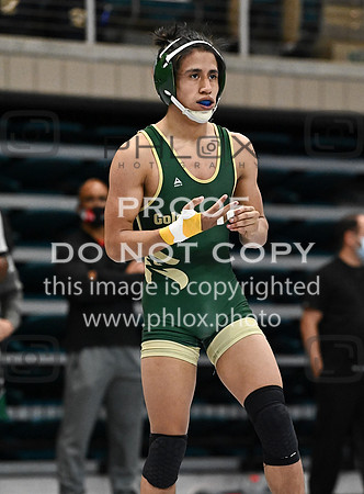 DLS_0220