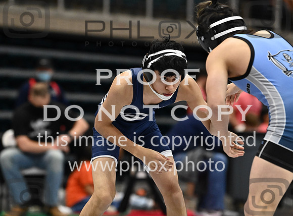 DLS_0147