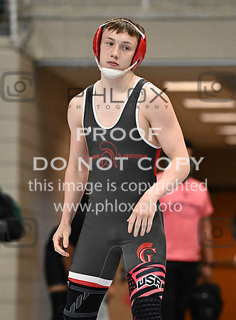 DLS_0241