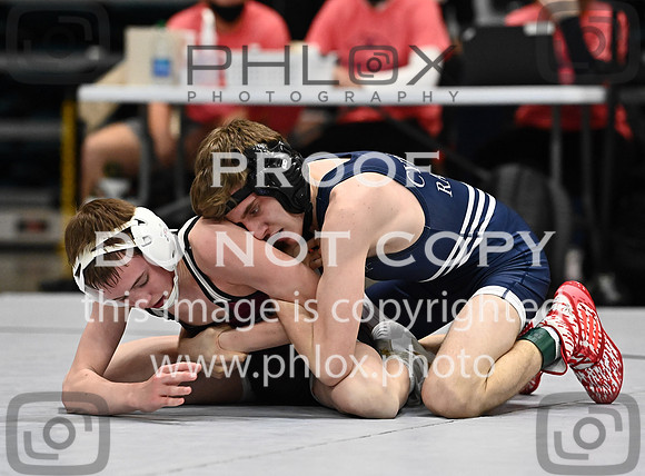 DLS_0164