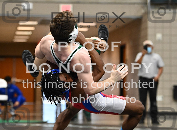 DLS_0340