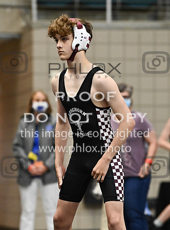 DLS_0139