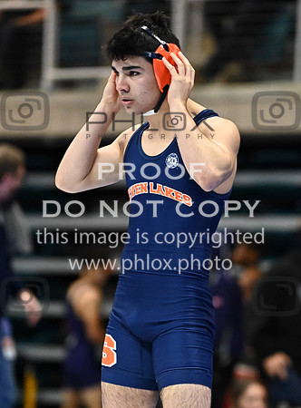 DLS_0249